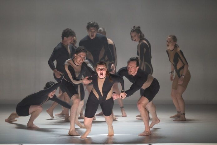 Troupe de cirque contemporain en mouvement sur une scène épurée